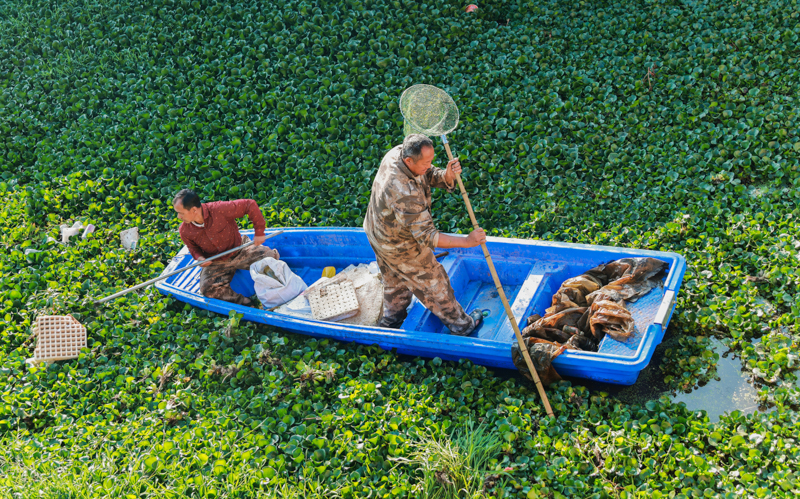 微信图片_20250423150600-10.jpg 微信图片_20250423150600-10.jpg