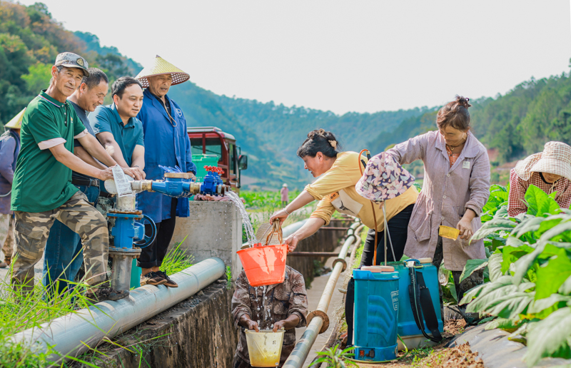 微信图片_2026-01-05_173139_748.jpg 微信图片_2026-01-05_173139_748.jpg