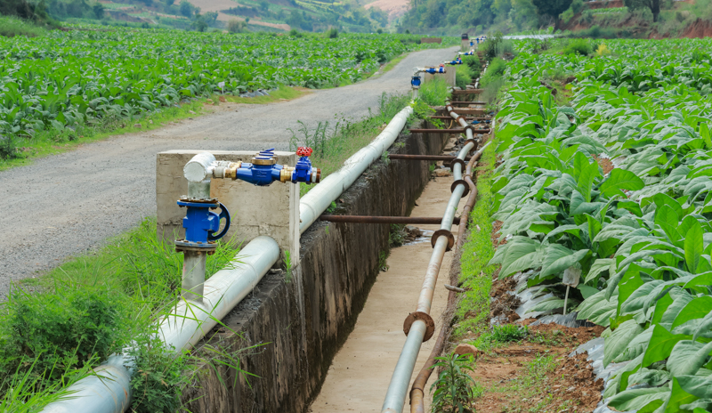 微信图片_2026-01-05_173135_317.jpg 微信图片_2026-01-05_173135_317.jpg