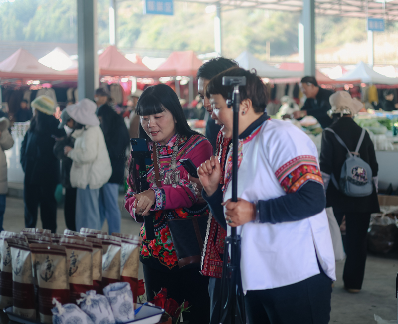 未命名 (4 - 6).jpg 未命名 (4 - 6).jpg