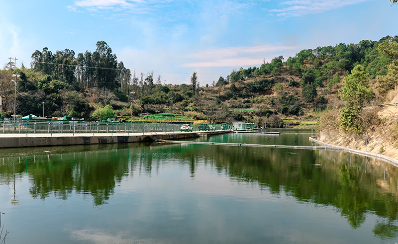 微信图片_2026-02-03_165850_238.jpg 微信图片_2026-02-03_165850_238.jpg