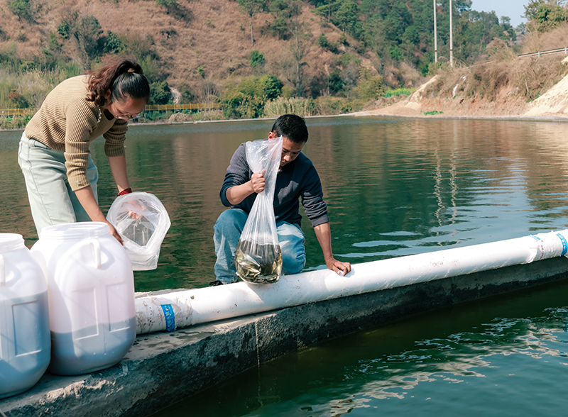 微信图片_2026-02-03_165855_784.jpg 微信图片_2026-02-03_165855_784.jpg