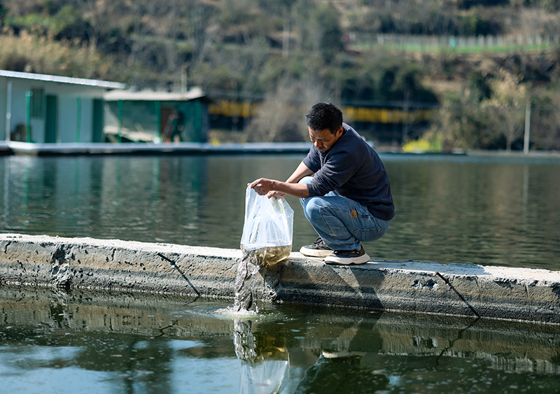 微信图片_2026-02-03_165841_065.jpg 微信图片_2026-02-03_165841_065.jpg