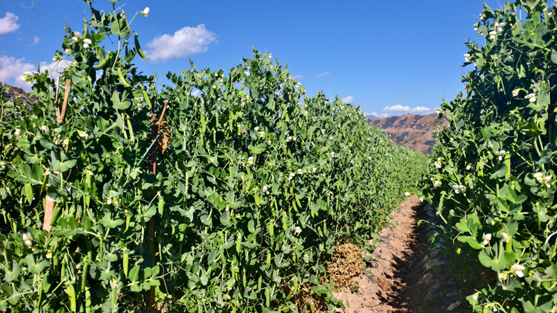 微信图片_2026-02-19_130847_095.jpg 微信图片_2026-02-19_130847_095.jpg