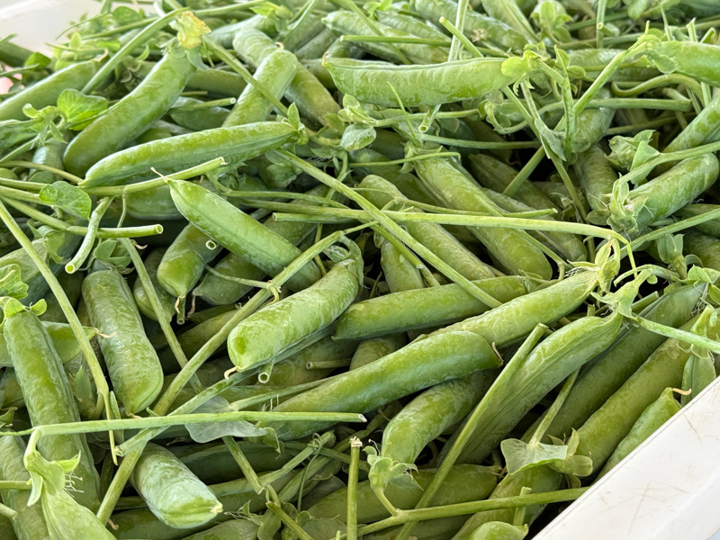 微信图片_2026-02-19_130857_926.jpg 微信图片_2026-02-19_130857_926.jpg