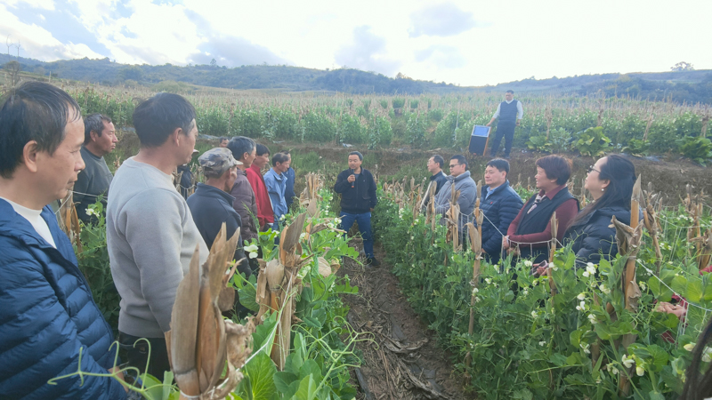 微信图片_2026-02-19_171346_274.jpg 微信图片_2026-02-19_171346_274.jpg