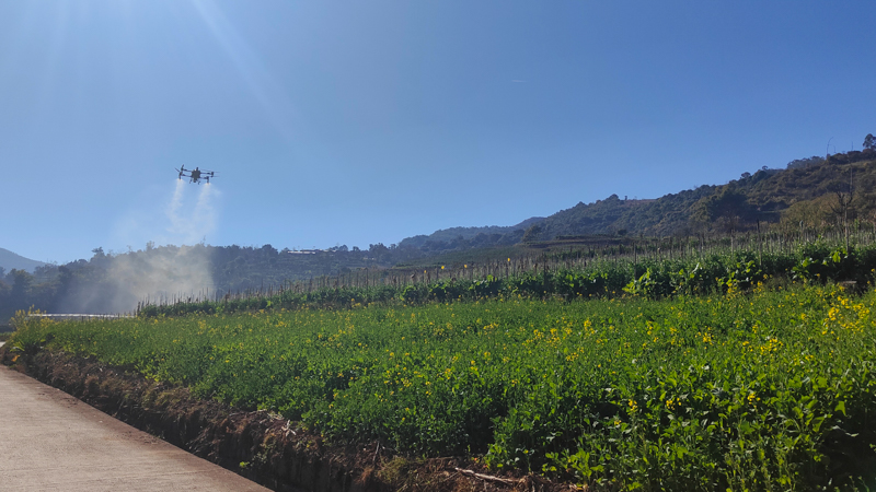 微信图片_2026-02-19_171319_143.jpg 微信图片_2026-02-19_171319_143.jpg