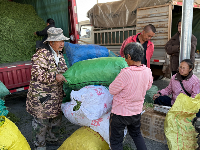 微信图片_2026-02-19_130913_054.jpg 微信图片_2026-02-19_130913_054.jpg