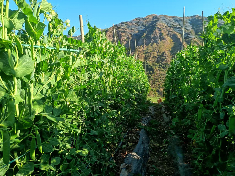 微信图片_2026-02-19_171256_907.jpg 微信图片_2026-02-19_171256_907.jpg