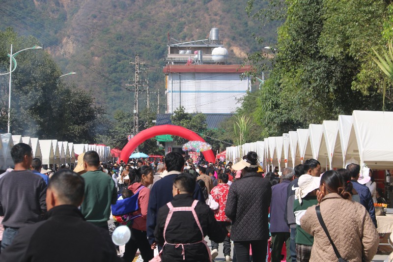 IMG_4743.jpg IMG_4743.jpg