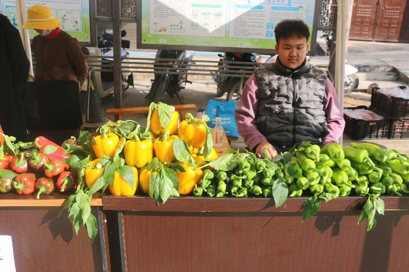 IMG_4647.jpg IMG_4647.jpg