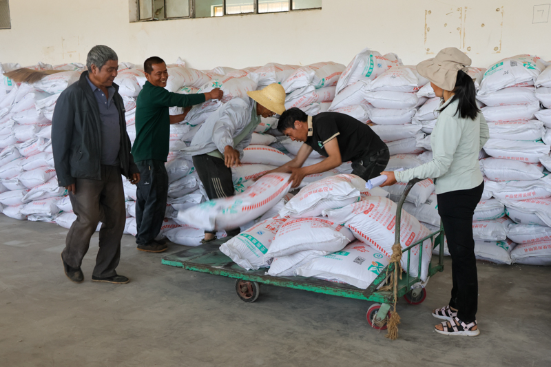 CY4A8803.jpg CY4A8803.jpg