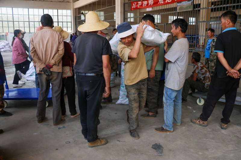 CY4A8814.jpg CY4A8814.jpg