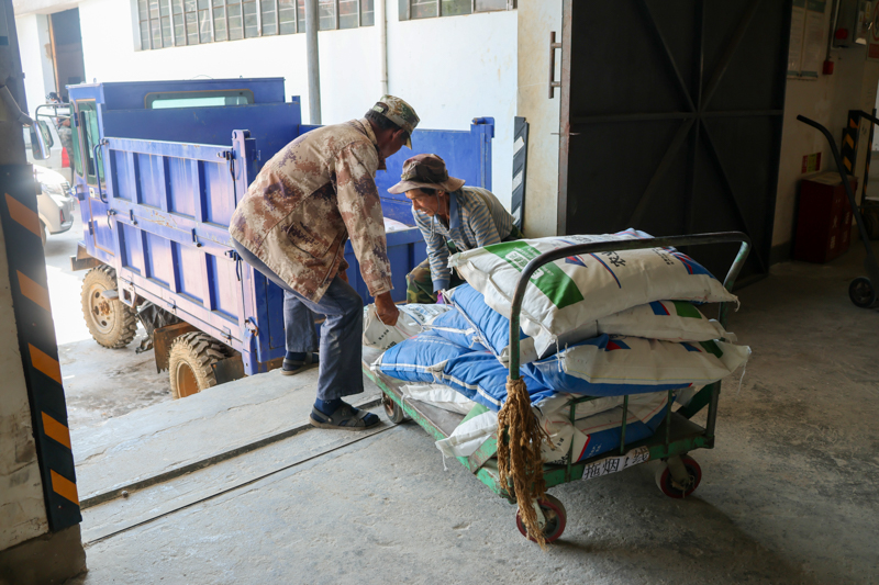 CY4A8811.jpg CY4A8811.jpg