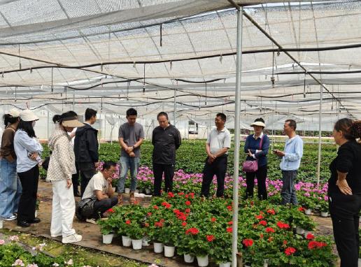 峨山县综合行政执法局赴宜良县考察学习花卉苗木产业.jpg