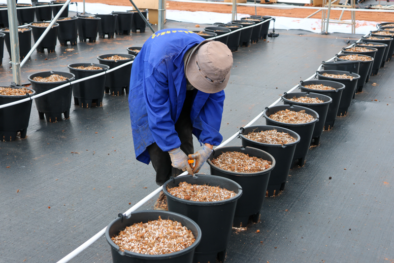 CY4A9790.jpg