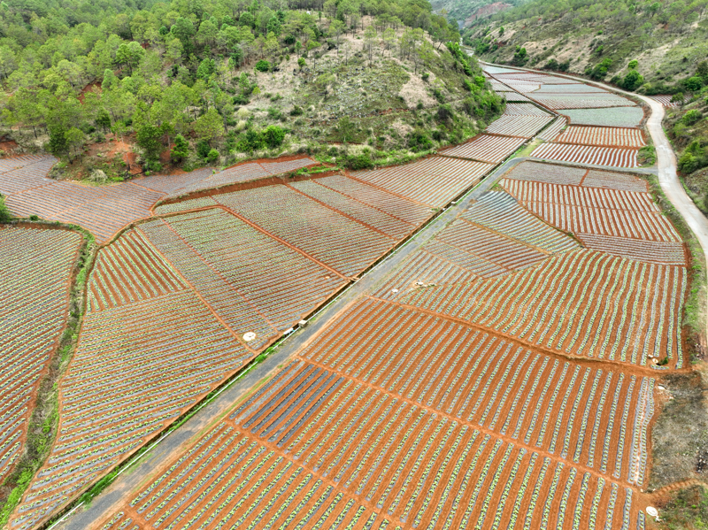 DJI_0509.jpg