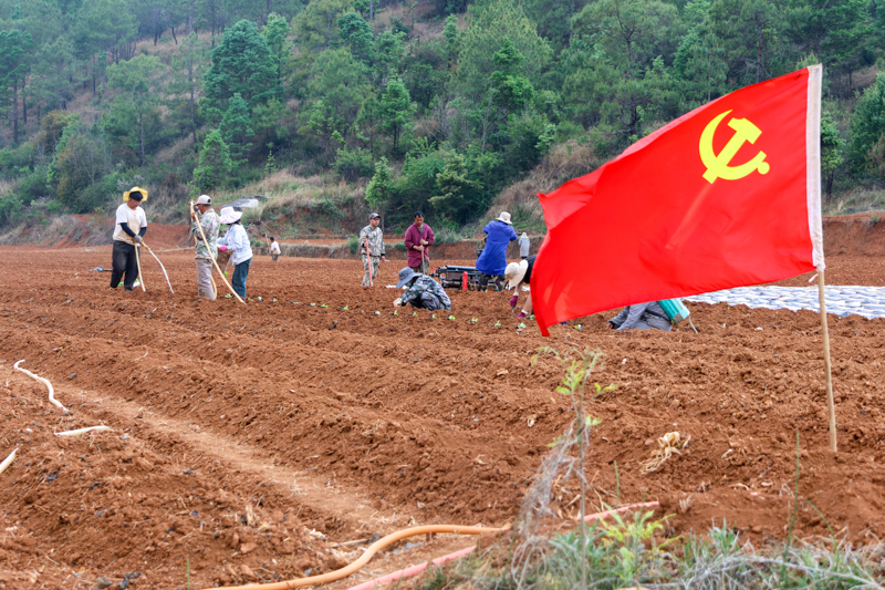 CY4A9268.jpg