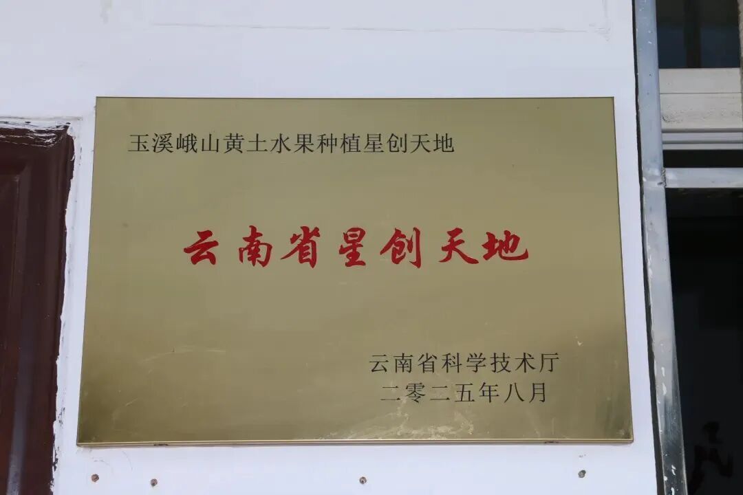 15a28403a42eae8e4423f3ab10913e2c.jpg