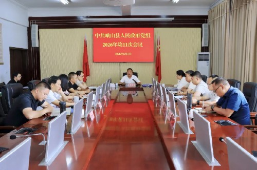 县政府召开党组会议常务会议