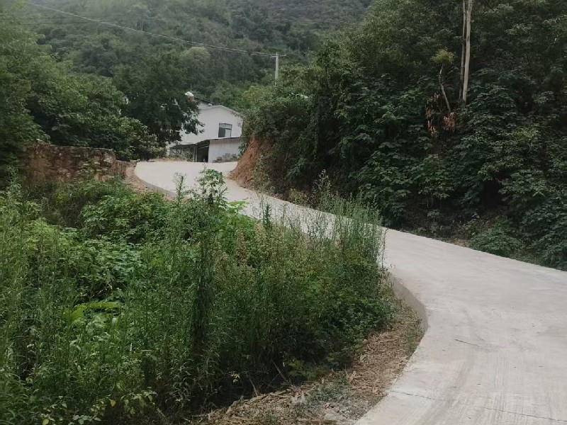 硬化后(2)_副本.jpg