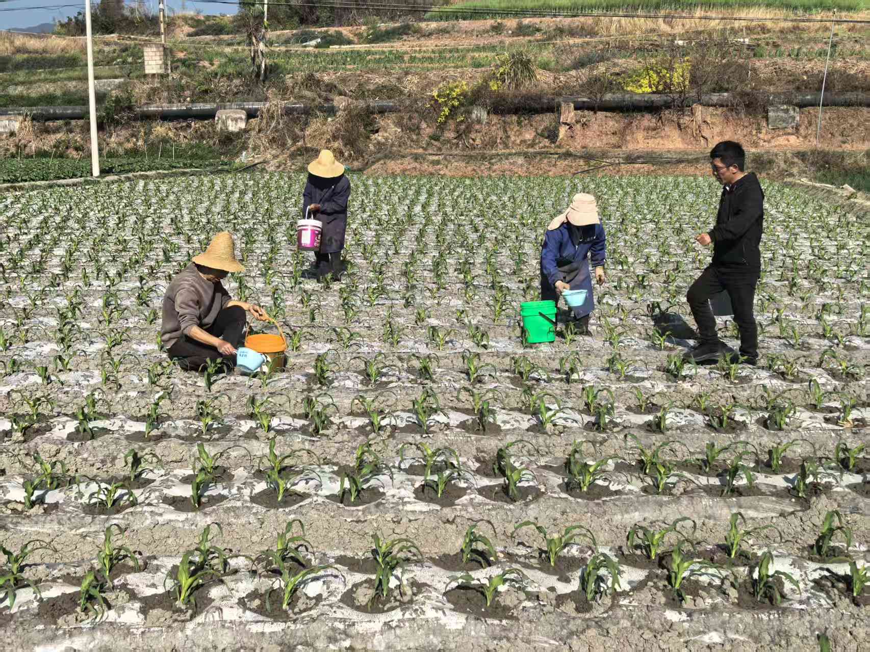 微信图片_2026-03-24_173322_125.png 微信图片_2026-03-24_173322_125.png