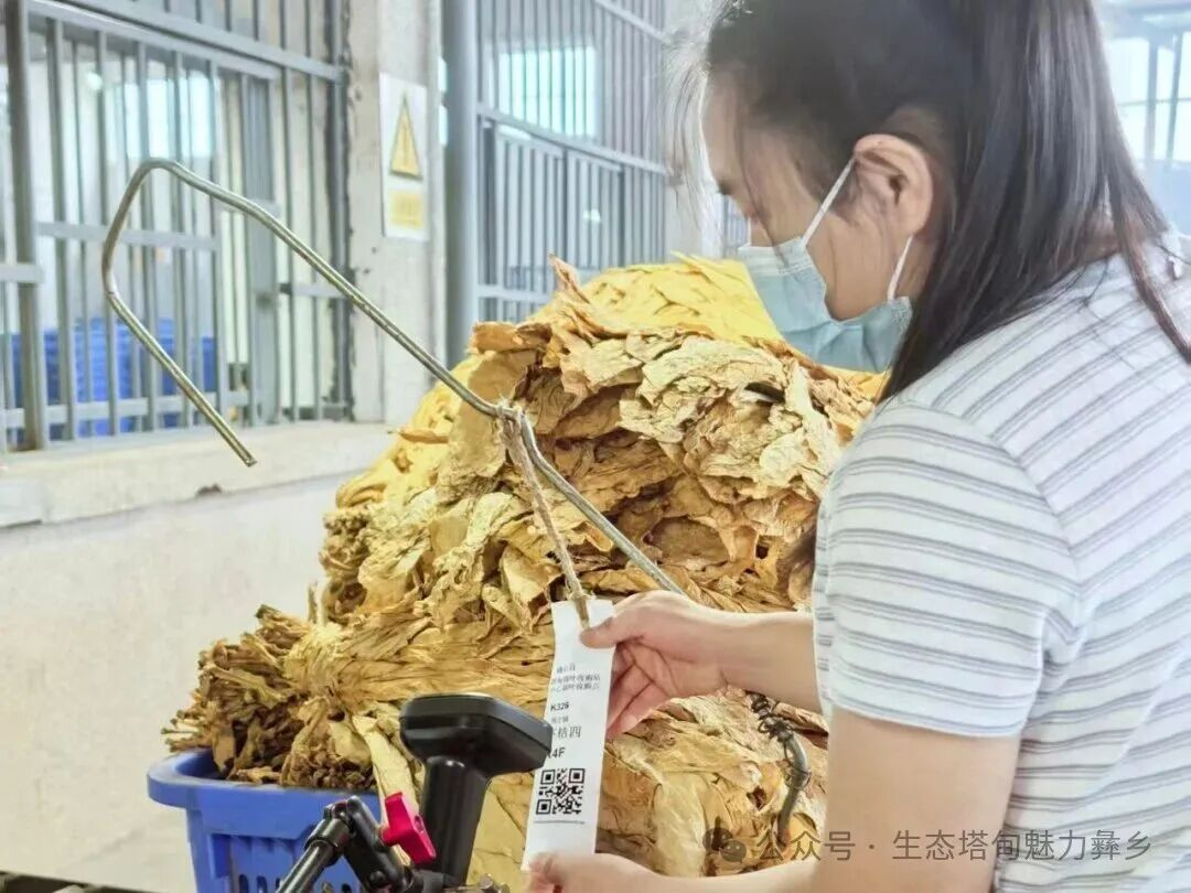 图片5.png 图片5.png