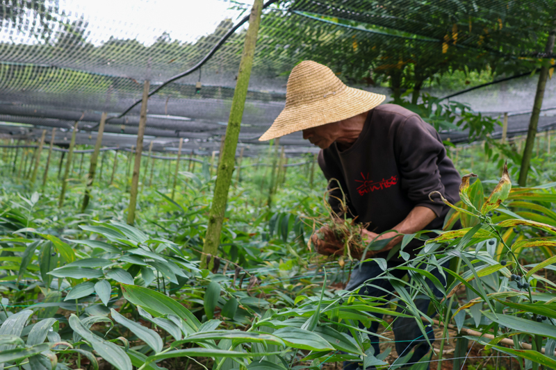 CY4A2170.jpg CY4A2170.jpg