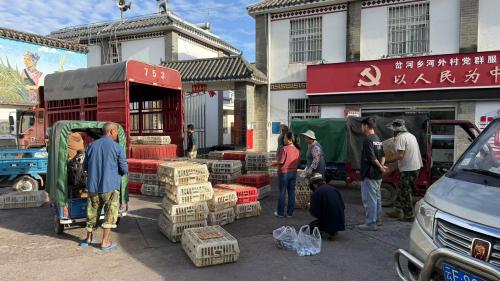 微信图片_20260907192659_143_12.jpg 微信图片_20260907192659_143_12.jpg