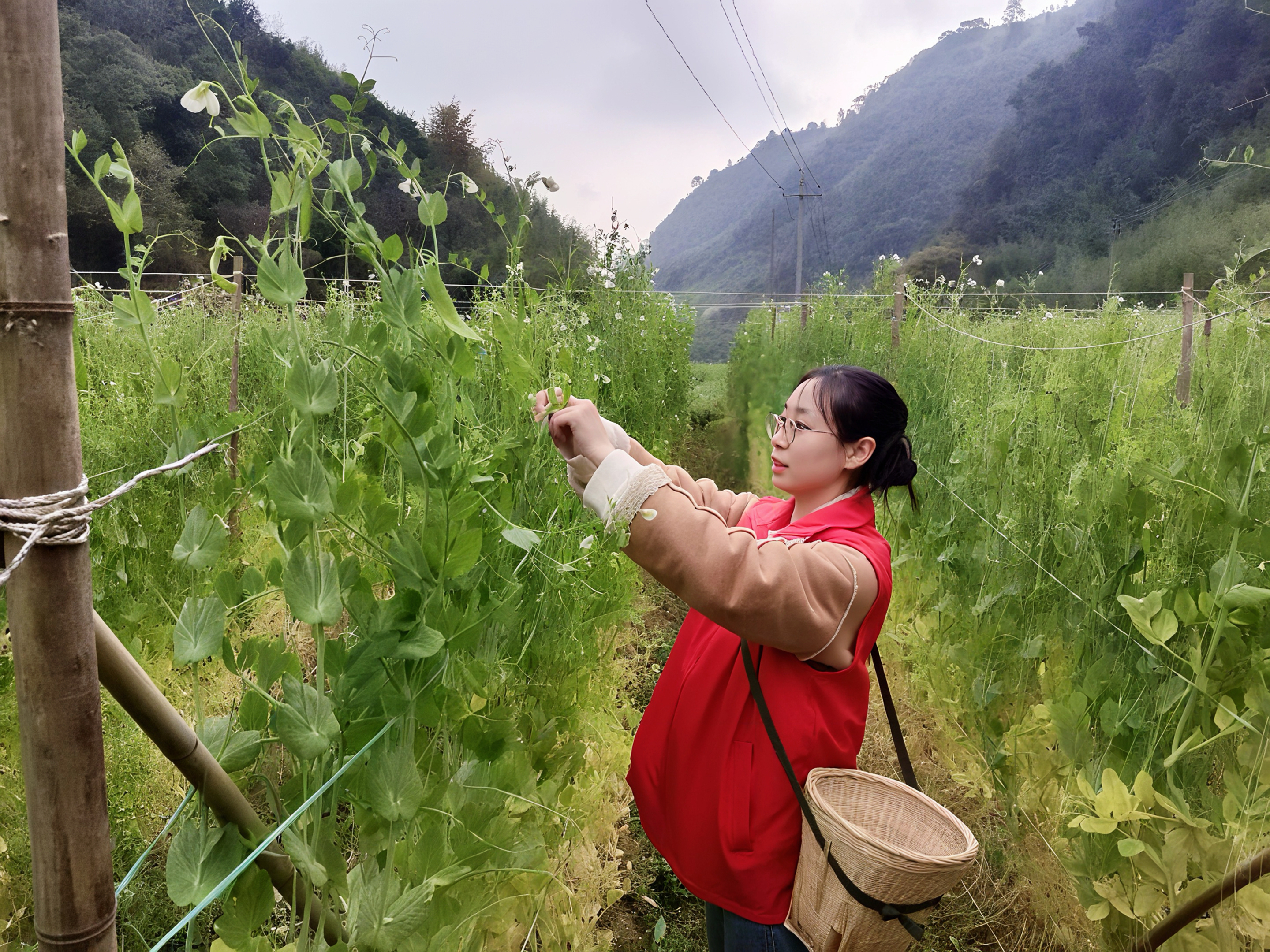 微信图片_20260929172142_3152_192.jpg