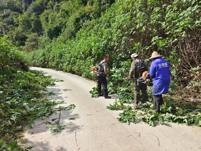 微信图片_2026-10-23_103408_814_副本.jpg
