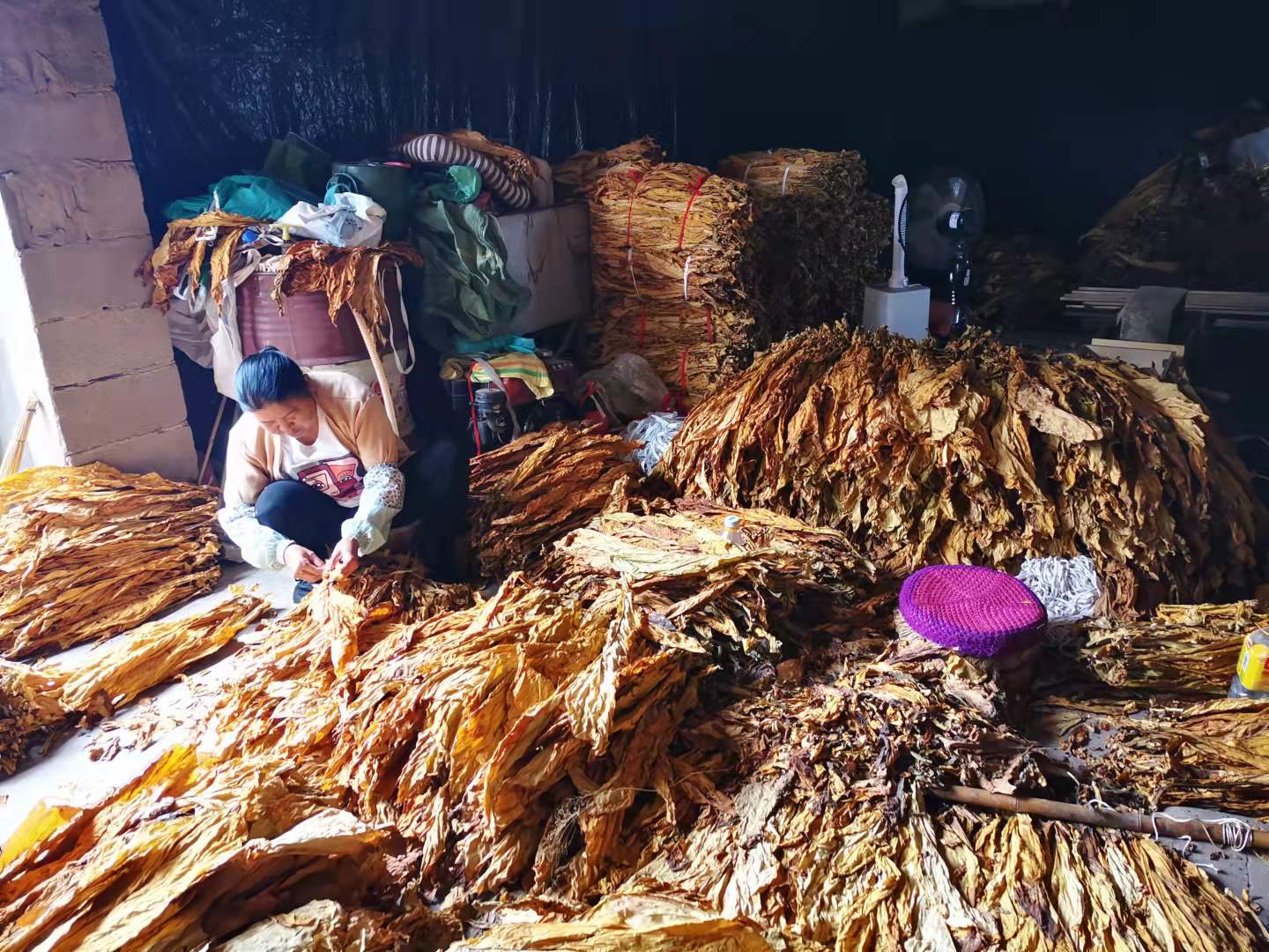 峨山县多项措施抓实krk26烟叶烘烤交售工作