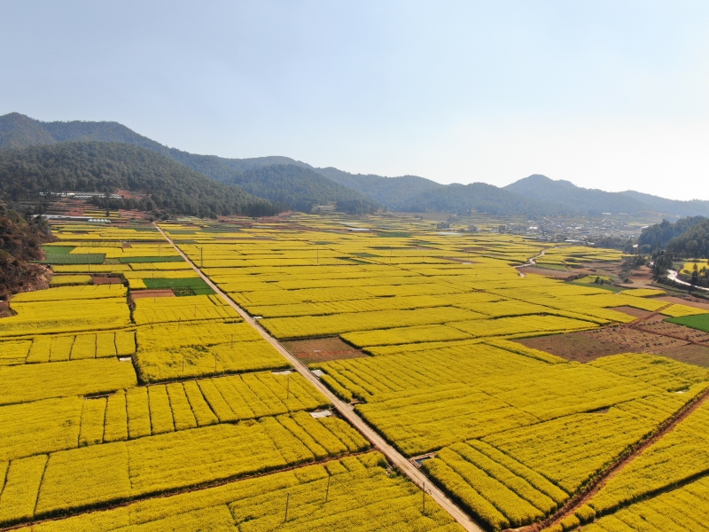 峨山县政府信息公开