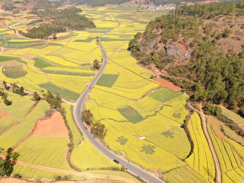 峨山县政府信息公开