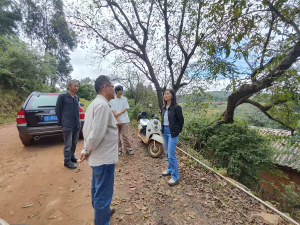 图片1.png 图片1.png